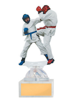 Приз тематический «Рукопашный бой» - PS1306